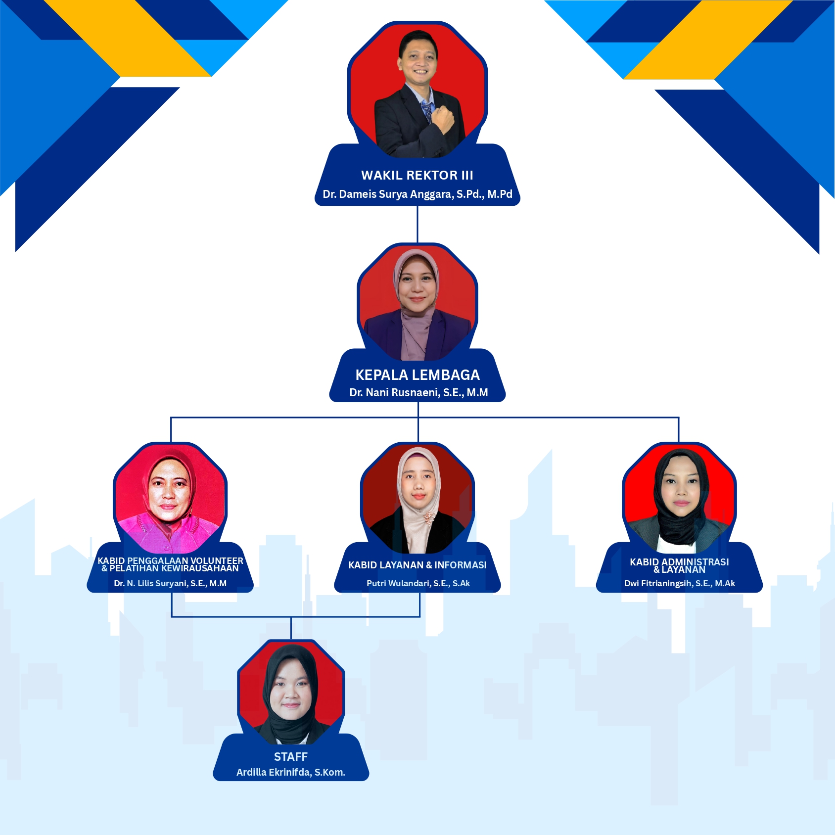 Struktur Organisasi LLD